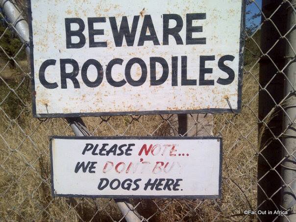 1-beware crocodiles